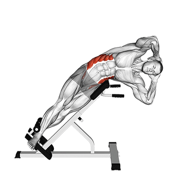45 degrees Side Bend (male)