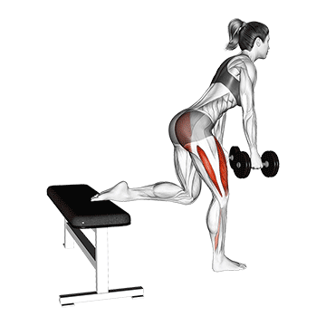 Bulgarian Split Squat