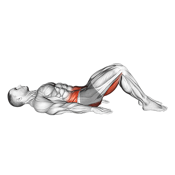 Hamstring Bridge